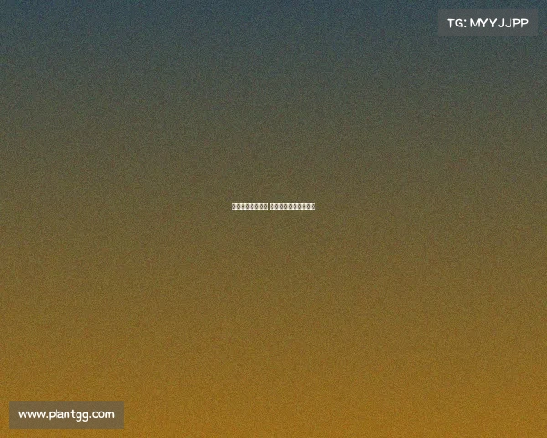 福清电子竞技酒店 福清电子竞技酒店地址