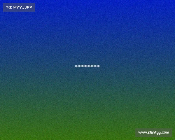 迪庆电子竞技学费详情及收费标准一览